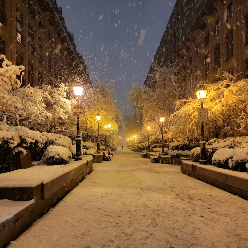 A snowy street in Montreal